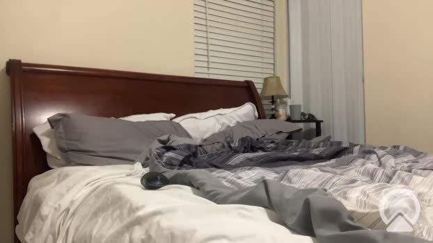 daddylongdong1x kink Webcam SHOW @ Chaturbate 15-06-2025