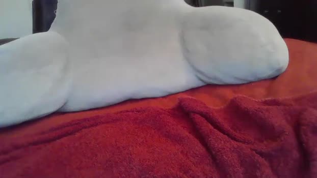 rickyandluucy fuckass Webcam SHOW @ Chaturbate 21-06-2025