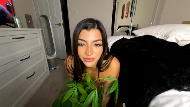 kaliblakexo