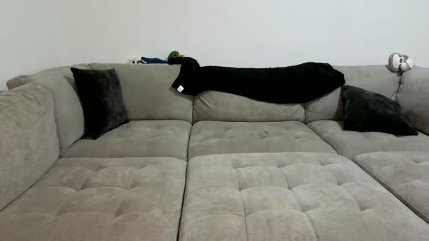 scarletterose_504259 fuck Webcam SHOW @ Chaturbate 29-07-2025