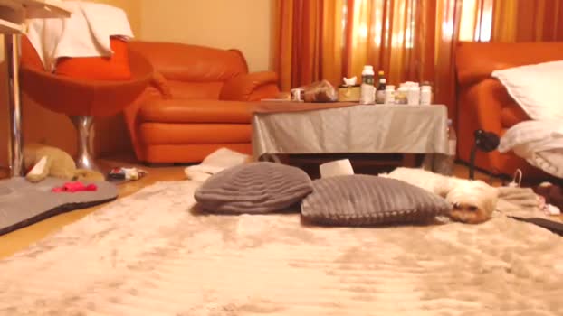 andrasweetie boobs Webcam SHOW @ Chaturbate 27-08-2025