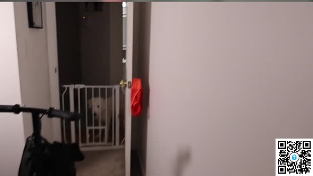 ari_lovexo Ass Webcam SHOW @ Chaturbate 10-09-2025