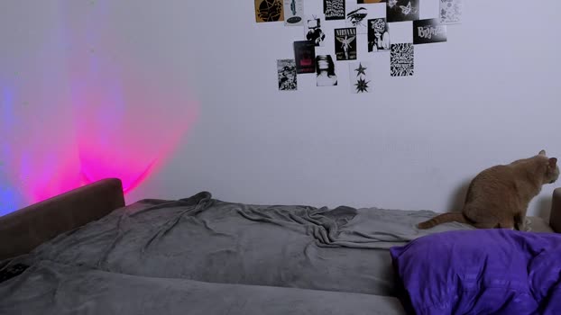 ladytrep suckcock Webcam SHOW @ Chaturbate 13-09-2025