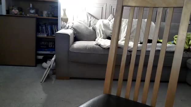 funcouple4282 fuckface Webcam SHOW @ Chaturbate 26-09-2025