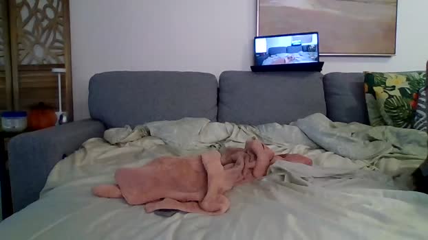 bigjoed233 fuckhard Webcam SHOW @ Chaturbate 12-10-2025