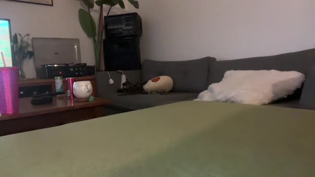 foxyone01 sexyfeet Webcam SHOW @ Chaturbate 18-10-2025