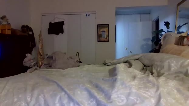 bigjoed233 analsex Webcam SHOW @ Chaturbate 22-10-2025
