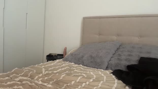 ava_delightt tits Webcam SHOW @ Chaturbate 27-10-2025