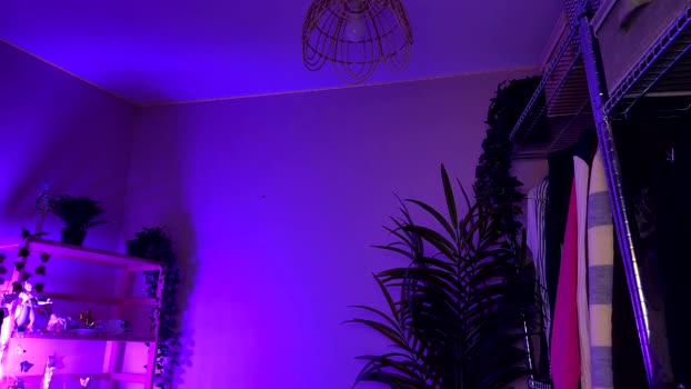vixenp big Webcam SHOW @ Chaturbate 07-11-2025