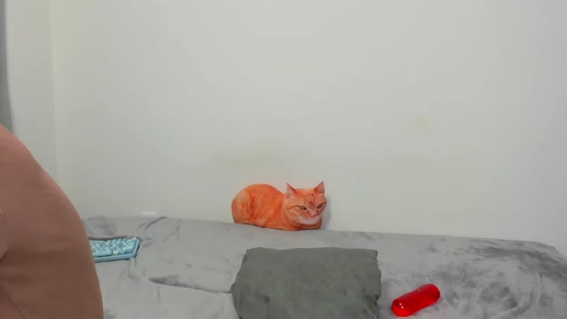 raveneusbiter sexy Webcam SHOW @ Chaturbate 28-11-2025