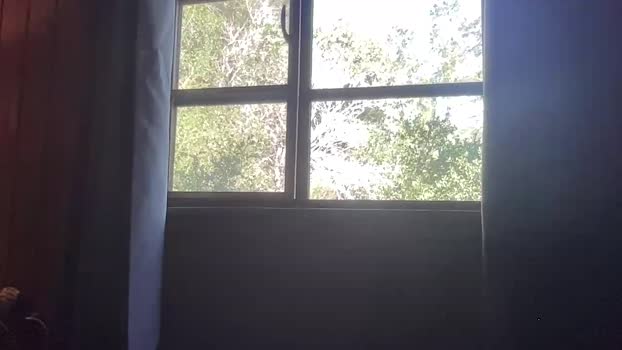 rubywavesback sweet Webcam SHOW @ Chaturbate 05-12-2025