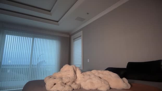 avaowenss pussy Webcam SHOW @ Chaturbate 11-12-2025