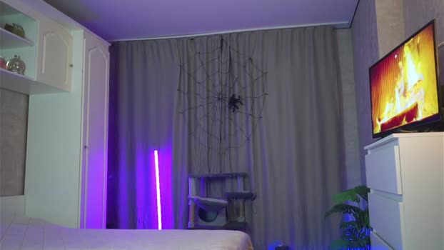 black_soda analtoy Webcam SHOW @ Chaturbate 11-12-2025