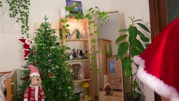 eli_sun love Webcam SHOW @ Chaturbate 22-12-2025
