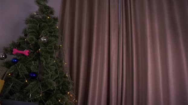 taitehambelton Pretty Webcam SHOW @ Chaturbate 27-12-2025