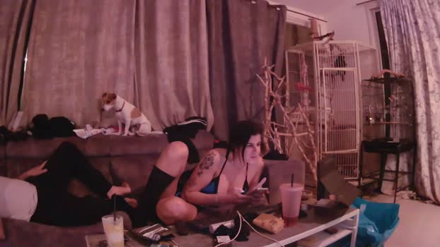 eldad3371 blowjob Webcam SHOW @ Chaturbate 01-01-2026