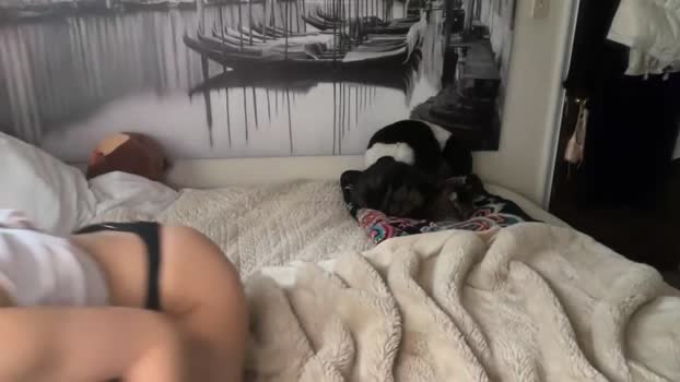 anyaa777 fuckface Webcam SHOW @ Chaturbate 05-01-2026