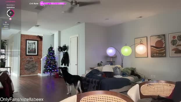 xstellabeex big Webcam SHOW @ Chaturbate 09-01-2026