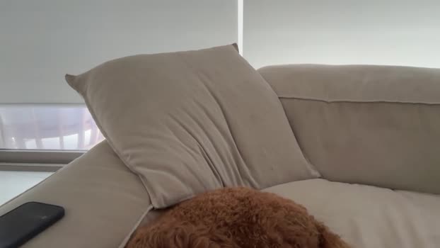 oliviabrookess suckshow Webcam SHOW @ Chaturbate 11-01-2026