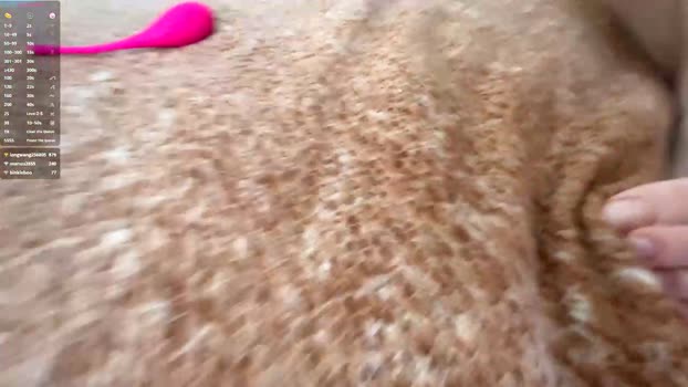 phqqipi sexy Webcam SHOW @ Chaturbate 13-01-2026