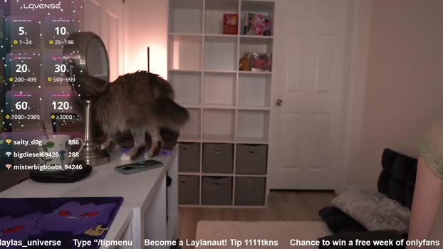 laylas_universe bigcock Webcam SHOW @ Chaturbate 16-01-2026