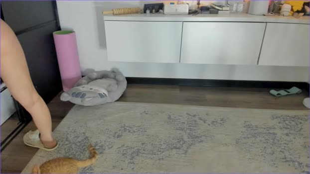 akime_girl big Webcam SHOW @ Chaturbate 25-01-2026