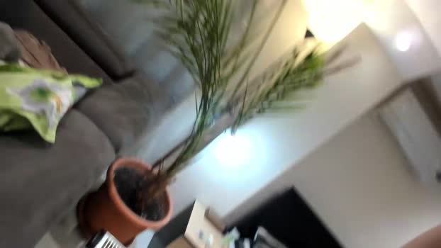 misspanthera sexygirl Webcam SHOW @ Chaturbate 25-01-2026