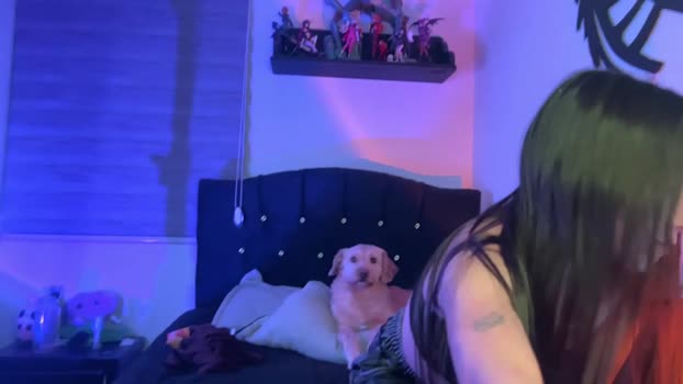nocturnallovers_ss deep Webcam SHOW @ Chaturbate 30-01-2026