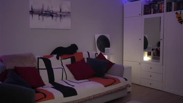 _blackbee_ natural Webcam SHOW @ Chaturbate 03-02-2026