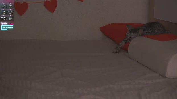 beatris_mils analtoy Webcam SHOW @ Chaturbate 04-02-2026