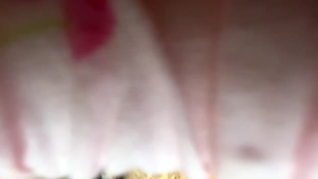 essence90210 Nude Webcam SHOW @ Chaturbate 17-02-2026