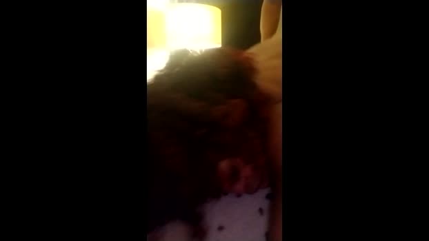 velvetbtwus suckshow Webcam SHOW @ Chaturbate 04-03-2026