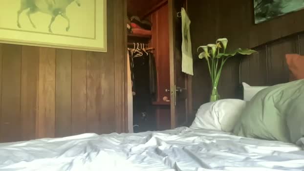 rubywavesback pussy Webcam SHOW @ Chaturbate 16-03-2026