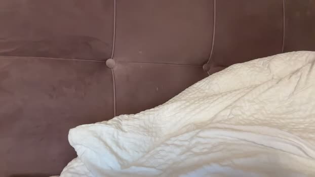 angel_isia suckshow Webcam SHOW @ Chaturbate 10-04-2026