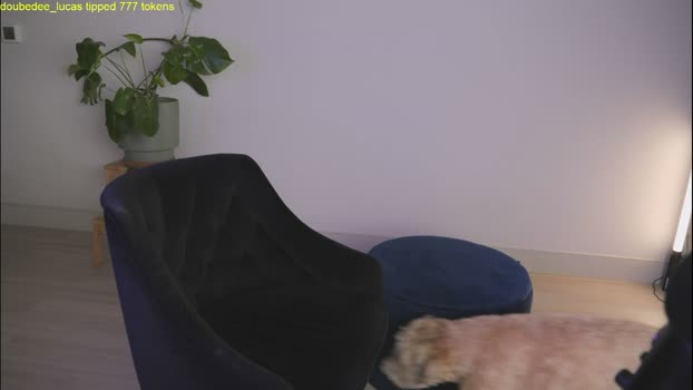 doubedeesarai tits Webcam SHOW @ Chaturbate 15-04-2026
