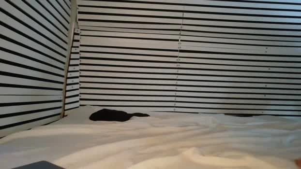 hola_homo 08-05-2026 HD toy hard analtoy Naked