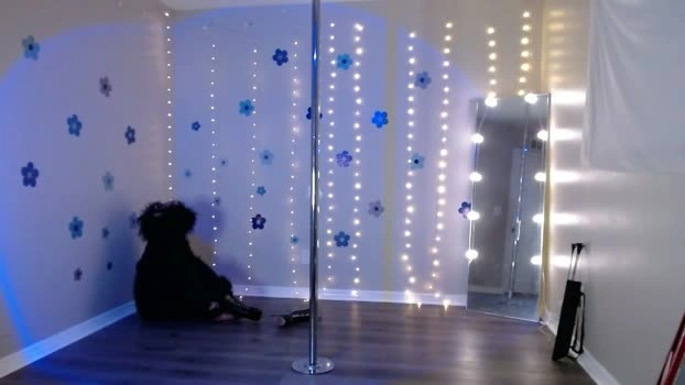hexivu 17-05-2026 HD lickpussy toys Pretty fuck