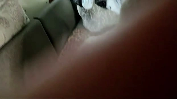 gothamrobyn 23-05-2026 HD Cam blowjob fuckhard Wet