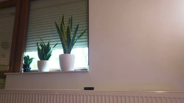 fazeyj 05-06-2026 HD Topless fingers spanking sucktits