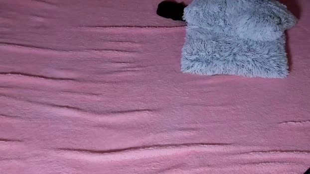 glitchdoll 02-07-2026 HD sucktits oral play big