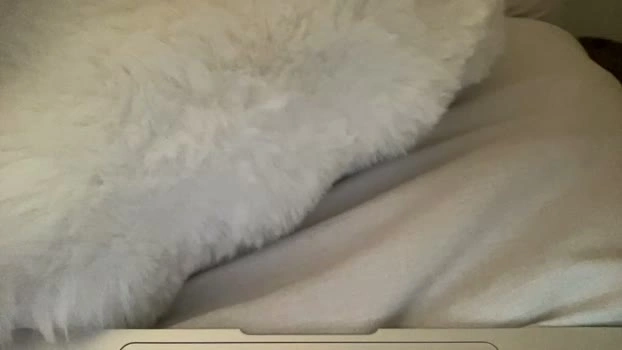 roxyrhode 15-07-2026 HD Porn sexybody squirt jerkoff