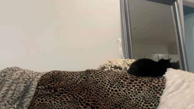 caseyyyhere 23-07-2026 HD bigtoys blowjob Ass fingers